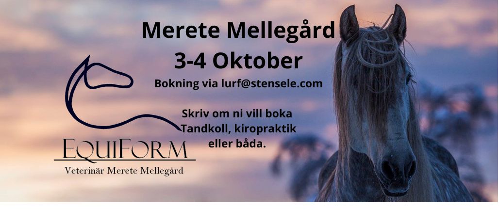 Tandläkare & Kiropraktik med Merete Mellegård